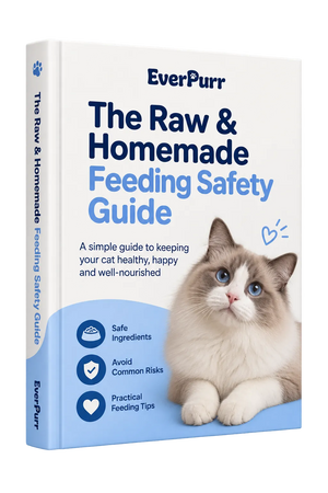 Feline Care Blueprint
