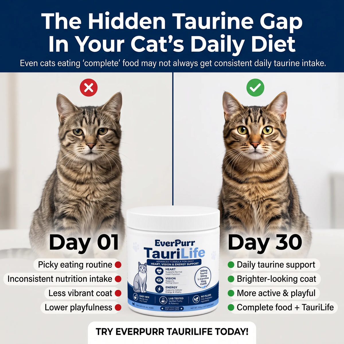 TauriLife - Daily Feline Nutrition Support