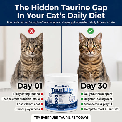 TauriLife - Daily Feline Nutrition Support