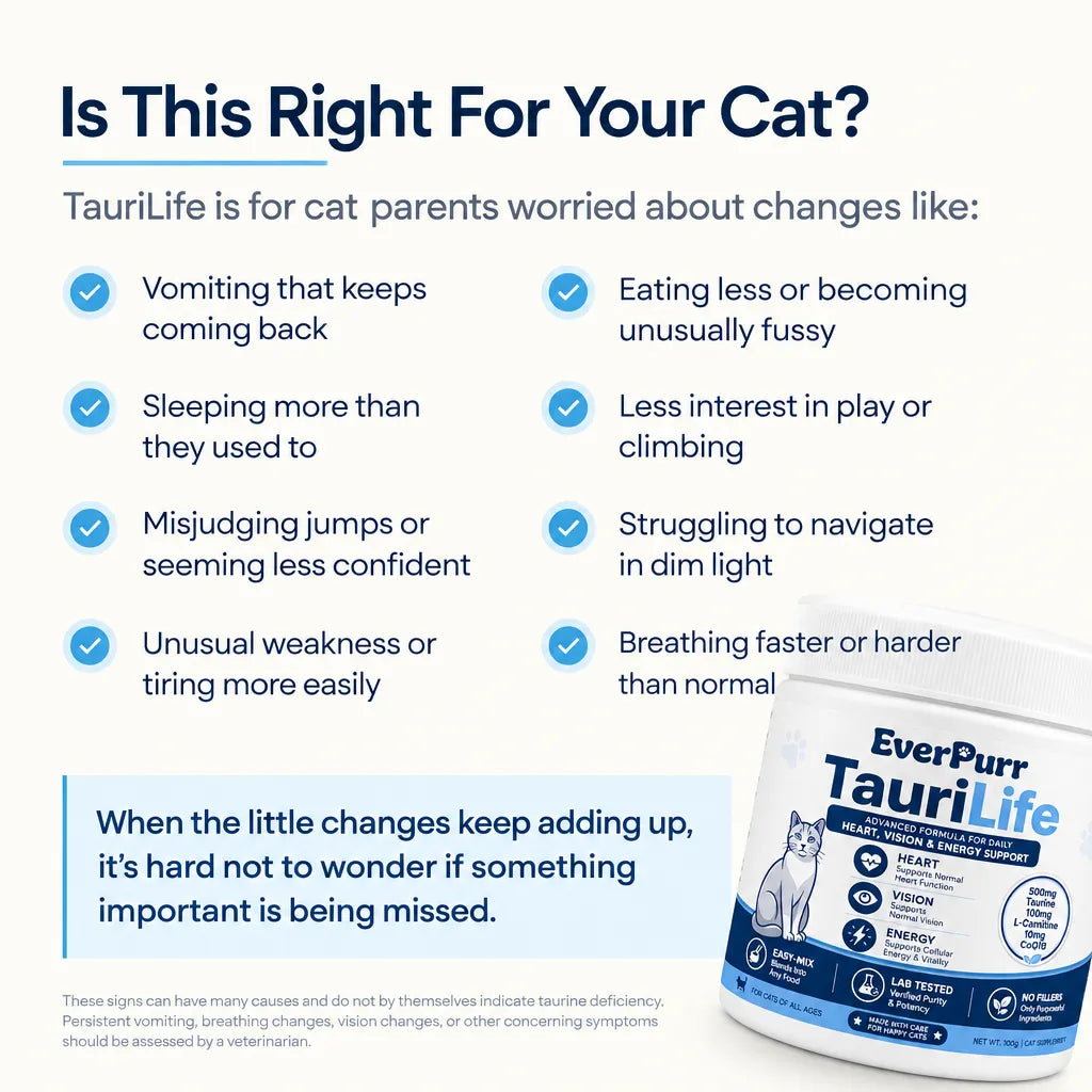 TauriLife - Taurine+ Supplement